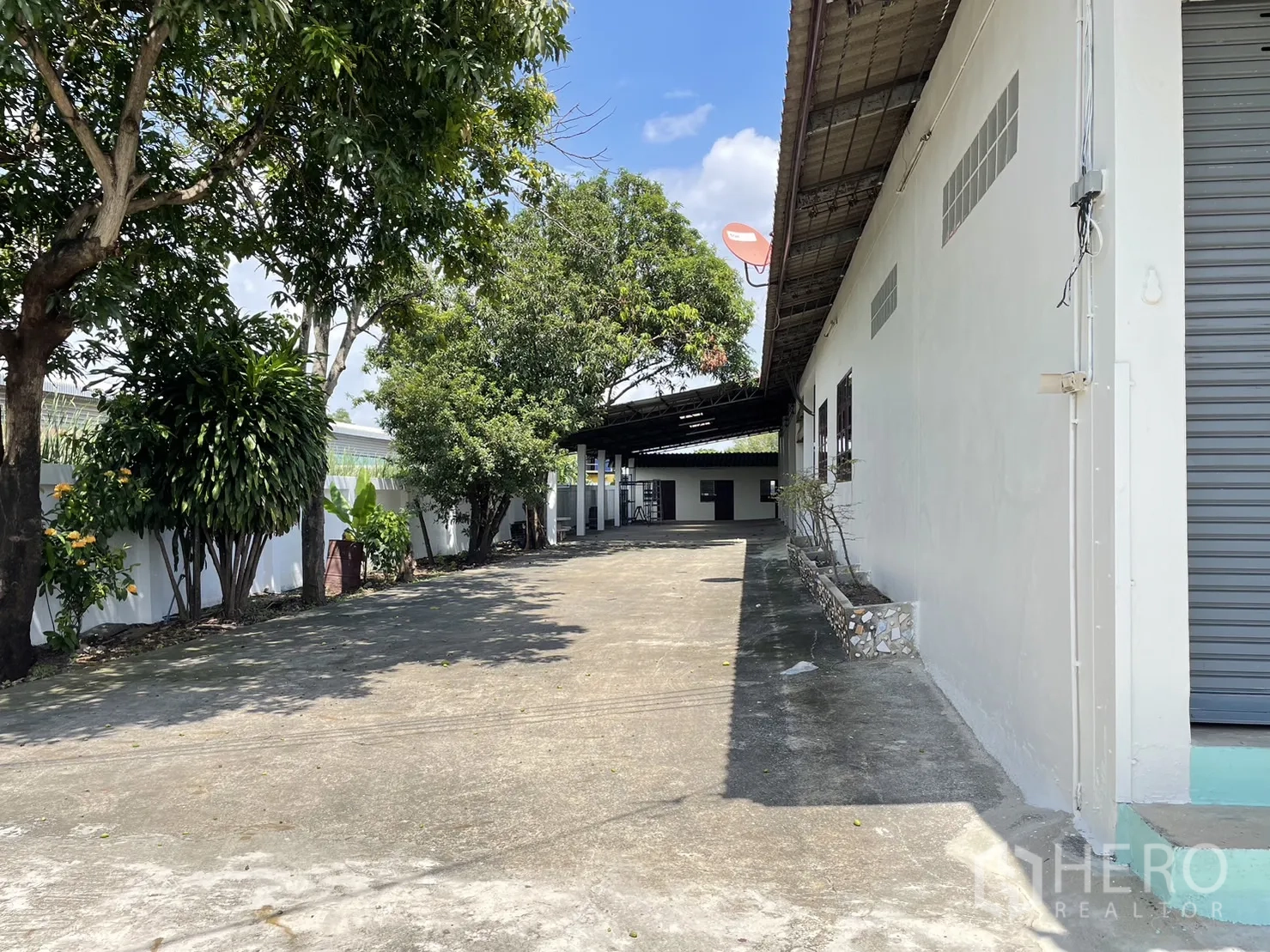 工厂 出租或出售在Pathum Thani - 白色仓厂旁宽阔车道，成排树荫与灰色卷门。