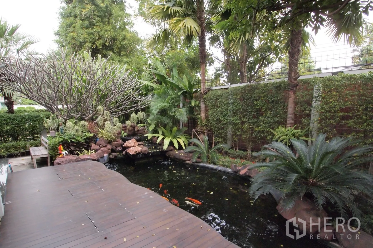 Detached House for rent or sale in Saphan Sung, Bangkok - Landscaped backyard with wooden deck and koi pond among tropical greenery