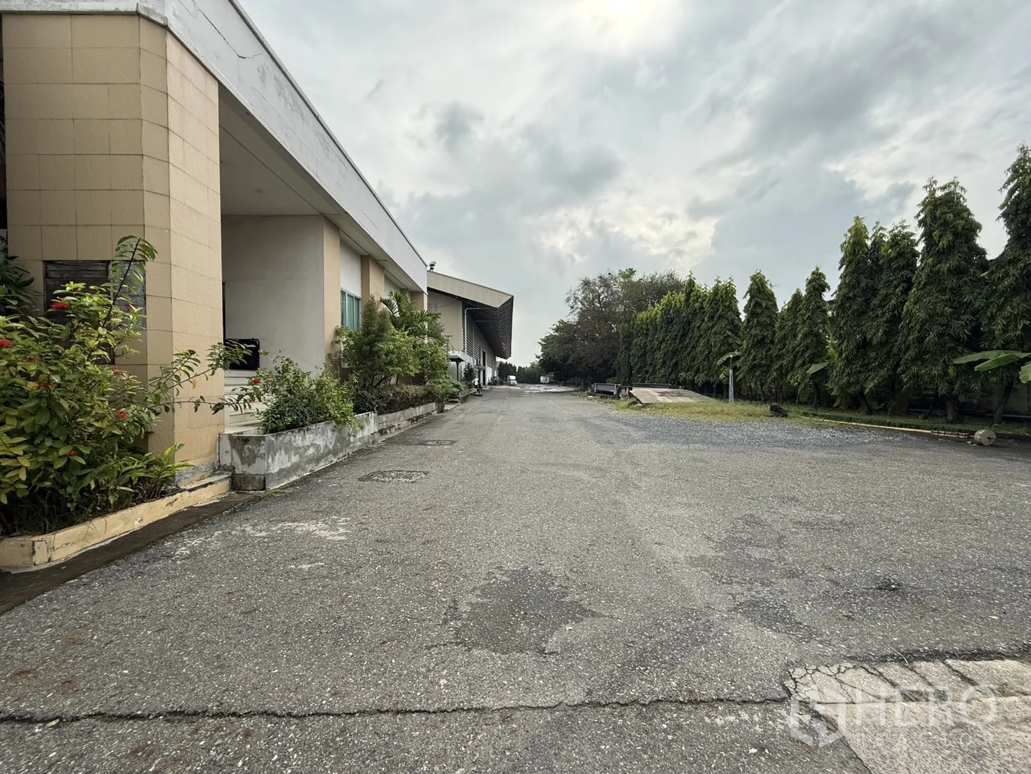 Factory for rent in Bang Phli, Samut Prakan - Long internal road beside an office wing with rows of trees along the boundary.
