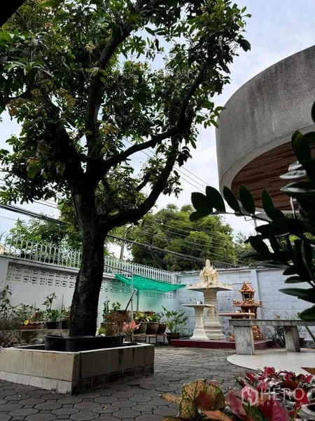 Detached House for sale in Yan Nawa, Bangkok - Courtyard garden with mature tree, paved patio and decorative feature.