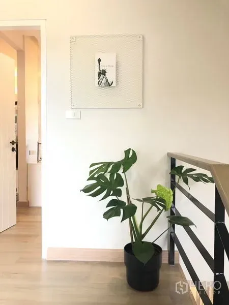店屋 出租在Lat Phrao, Bangkok - 明亮的楼梯平台，浅木地板与金属扶手，摆放绿色盆栽。