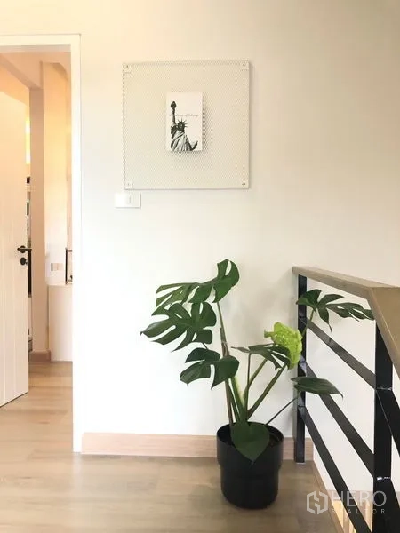 店屋 出租在Lat Phrao, Bangkok - 明亮的楼梯平台，浅木地板与金属扶手，摆放绿色盆栽。