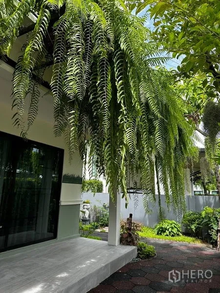 บ้าน ให้เช่าในPrawet, Bangkok - เฟิร์นห้อยและต้นไม้ให้ร่มเงาบริเวณนอกชานข้างบ้าน