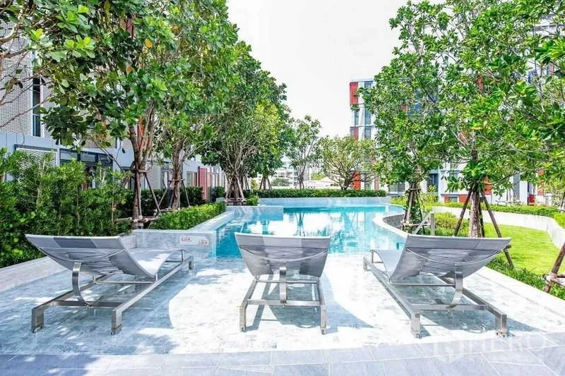 公寓 出租在Watthana, Bangkok - 度假风泳池，设日光躺椅，四周被植被环绕