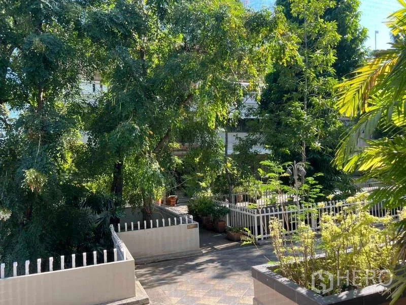 联排别墅 出租在Khlong Toei, Bangkok - 绿意盎然的公共花园庭院，白色栅栏与花盆
