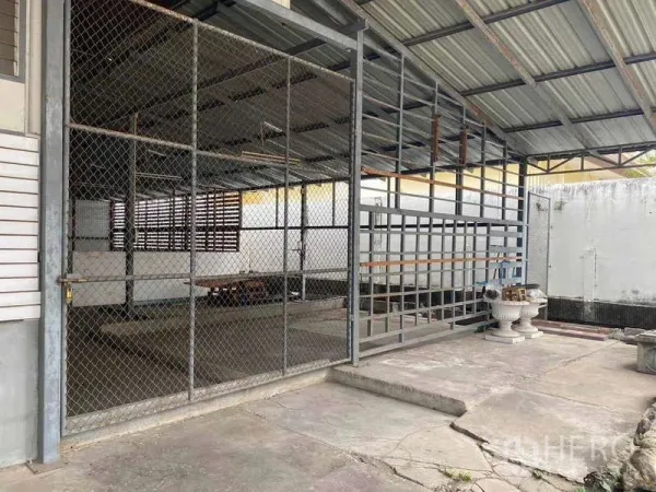 Warehouse for rent in Bang Sue, Bangkok - Covered caged storage area with chain-link fencing and metal roof beside the warehouse.
