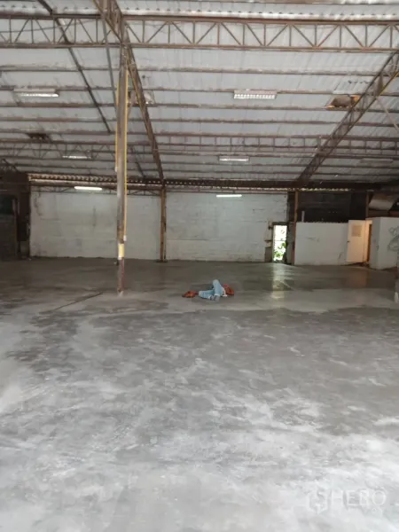 Warehouse for rent in Sai Mai, Bangkok - Wide warehouse hall with high ceiling, central support columns and ample lighting on a concrete slab.