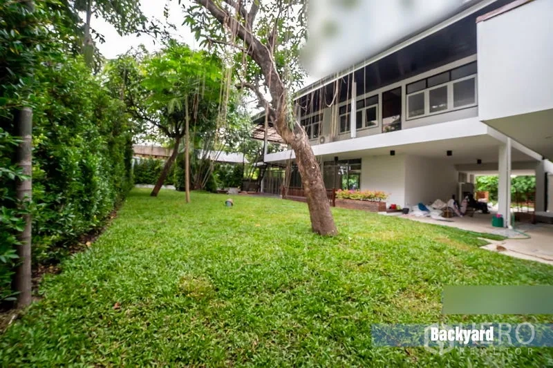 独立式住宅 出租在Khlong Toei, Bangkok - 后院草坪宽阔，成树与绿篱，临近架空住宅