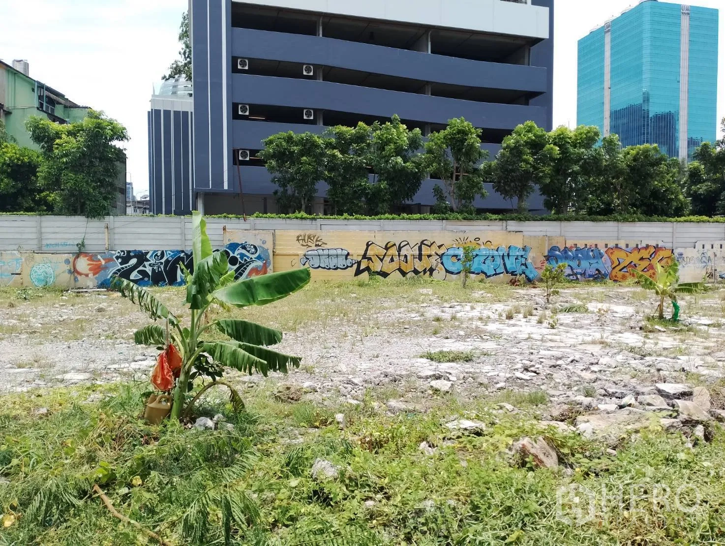 Land for sale in Suan Luang, Bangkok - Inside the site showing rough ground, small banana plants, and a muralled boundary wall near a modern building.
