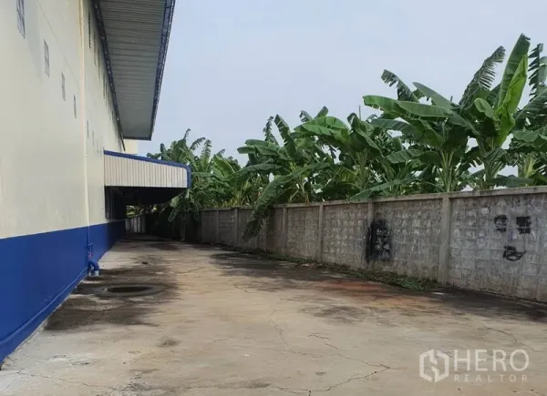 Factory for rent in Bang Bua Thong, Nonthaburi - Rear service lane beside the factory wall with banana trees along the boundary.