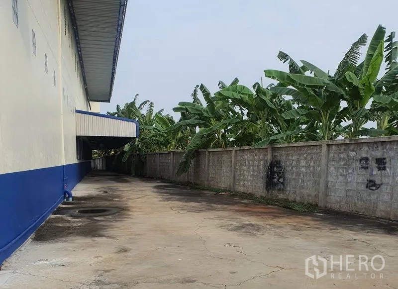 Factory for rent in Bang Bua Thong, Nonthaburi - Rear service lane beside the factory wall with banana trees along the boundary.