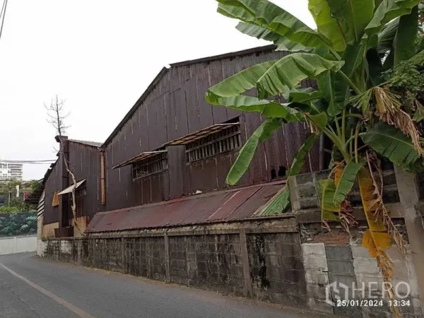 คลังสินค้า ให้เช่าในWatthana, Bangkok - ด้านยาวของโกดังริมถนนแคบ มีต้นกล้วยข้างกำแพง