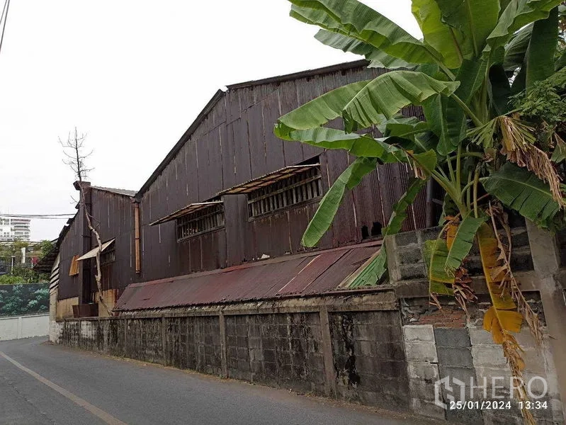 คลังสินค้า ให้เช่าในWatthana, Bangkok - ด้านยาวของโกดังริมถนนแคบ มีต้นกล้วยข้างกำแพง
