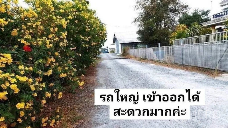 Warehouse for rent in Nakhon Pathom - Wide gravel lane lined with flowering shrubs and a metal fence, suitable for truck access to the warehouse.