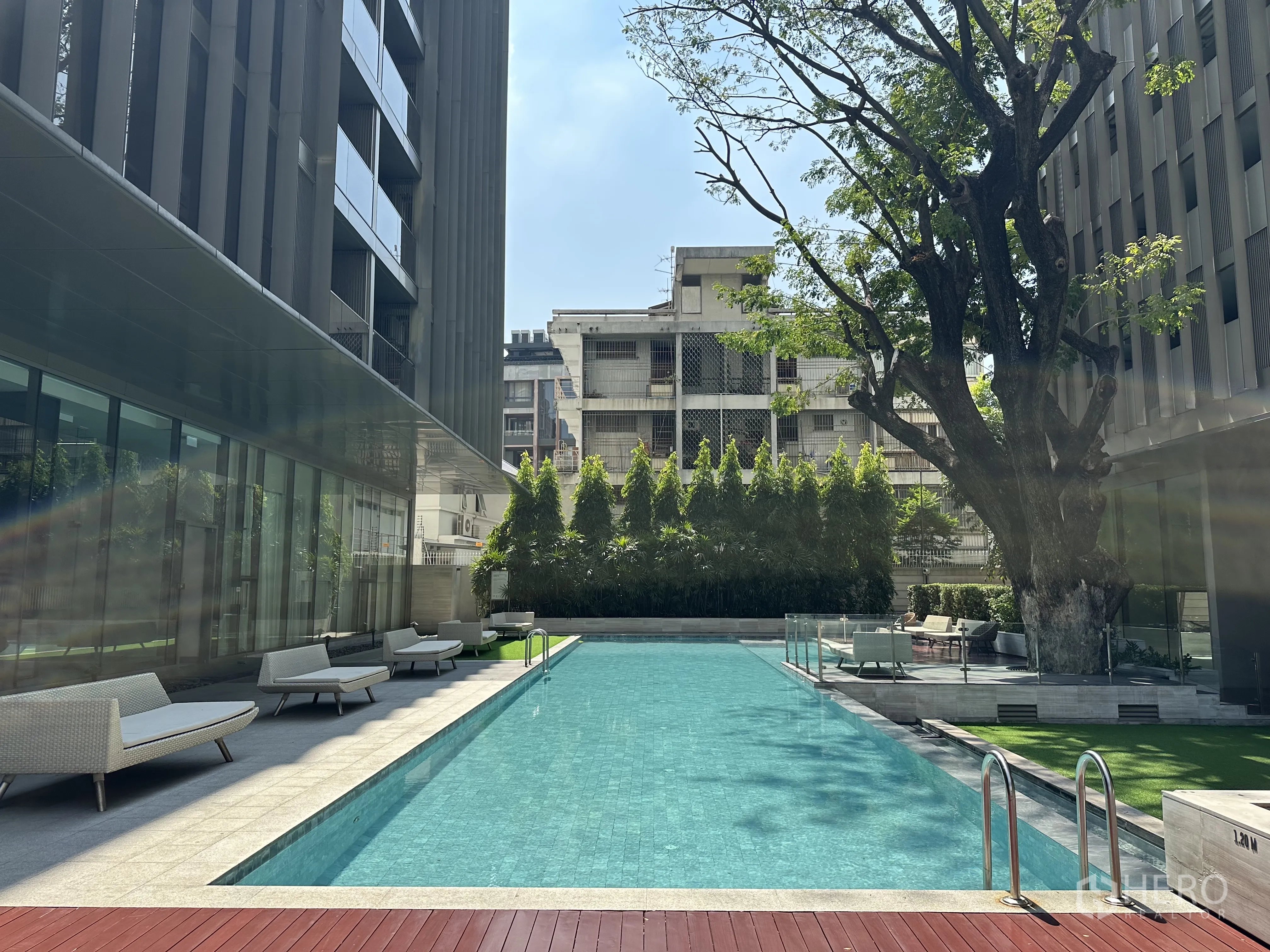 Condominium for rent in Khlong Toei, Bangkok - Outdoor swimming pool with sun loungers and a mature tree in a landscaped courtyard.