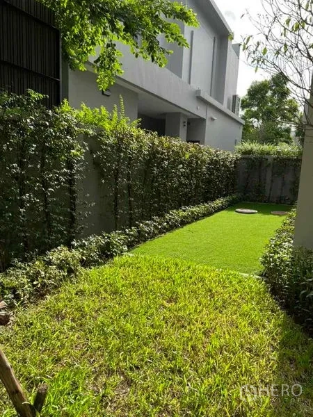 Detached House for sale in Bang Kruai, Nonthaburi - Private side garden with lawn and hedge fencing.