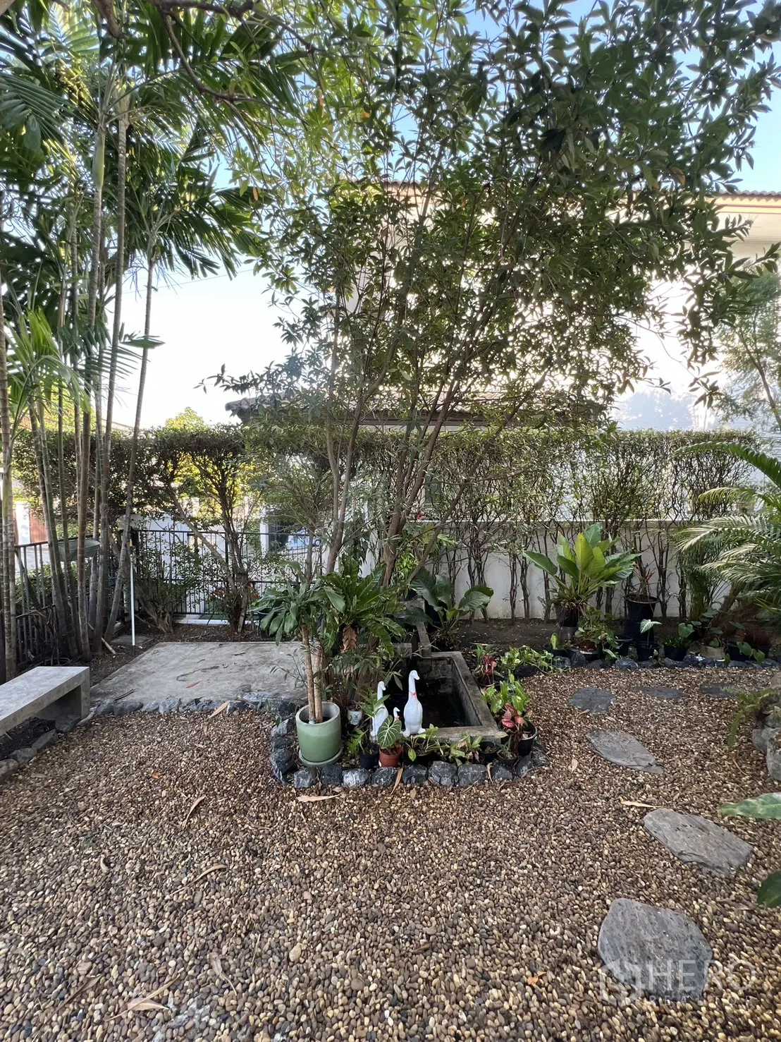 Detached House for rent in Bang Kapi, Bangkok - Shaded pebble garden with small pond, potted plants, and a concrete bench.