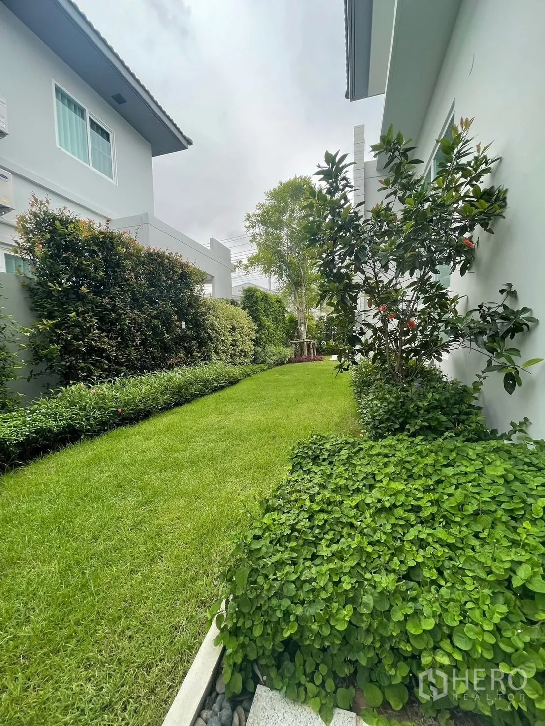 独栋房屋 for rent in Prawet, Bangkok - 另一角度的花园，草坪与开花灌木沿小径分布。