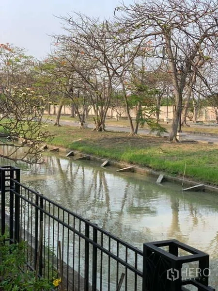 Detached House for rent in Lat Krabang, Bangkok - Canal view from the backyard with metal fence and trees lining the water.