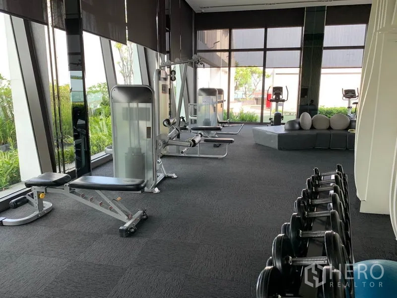 Condominium for rent in Khlong Toei, Bangkok - Condominium fitness room with cardio machines, free weights, and large windows to greenery.