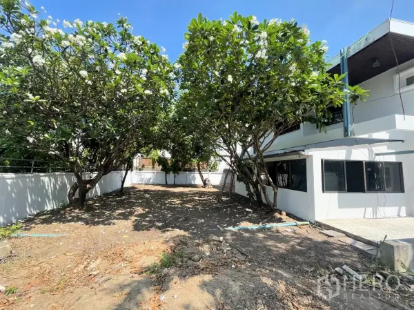 Home Office for rent in Din Daeng, Bangkok - Large side garden with mature frangipani trees and boundary wall beside the house.