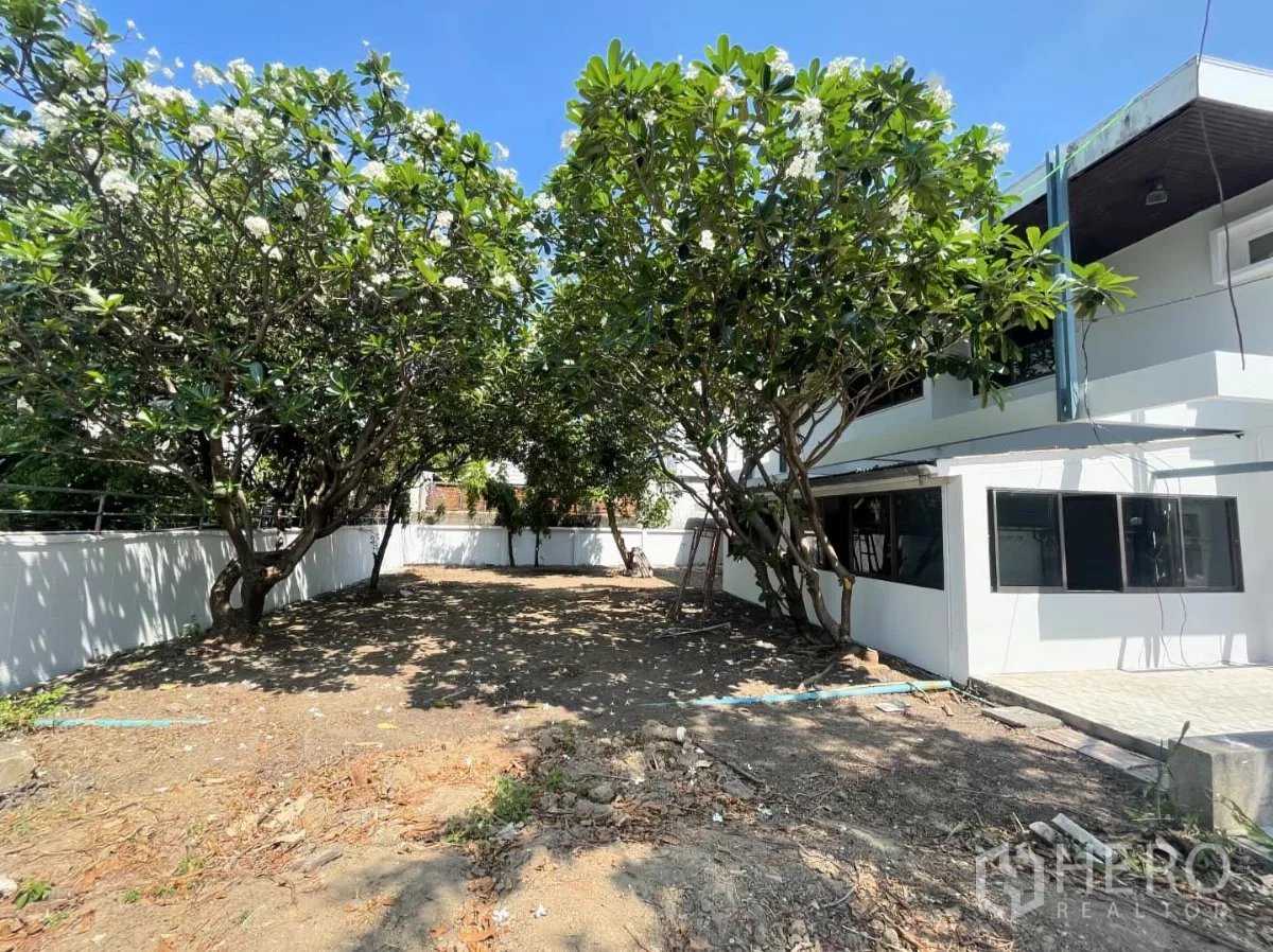 Home Office for rent in Din Daeng, Bangkok - Large side garden with mature frangipani trees and boundary wall beside the house.