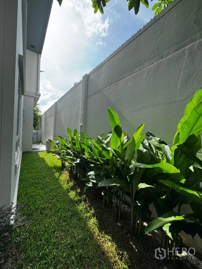 Detached House for rent in Prawet, Bangkok - Narrow garden strip with tropical plants along a high privacy wall.