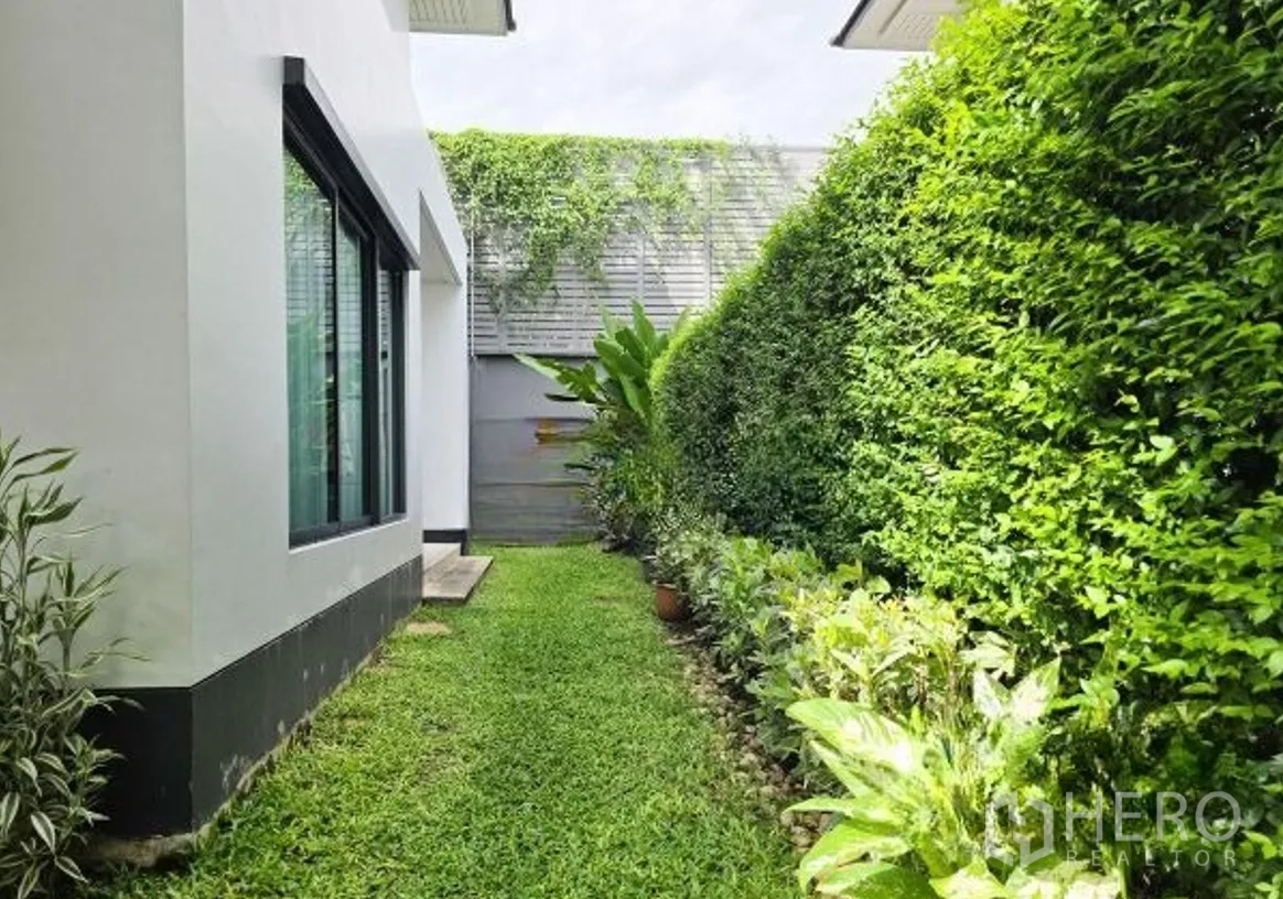 Detached House for sale in Bang Kapi, Bangkok - Private back garden with manicured hedge and tropical plants along the fence.