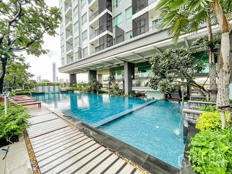 Condominium for sale - Condominium outdoor swimming pool surrounded by greenery and sun loungers.