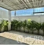 带办公室的家 出租在Wang Thonglang, Bangkok - 金属顶棚下的室外区域，墙边一排盆栽棕榈。