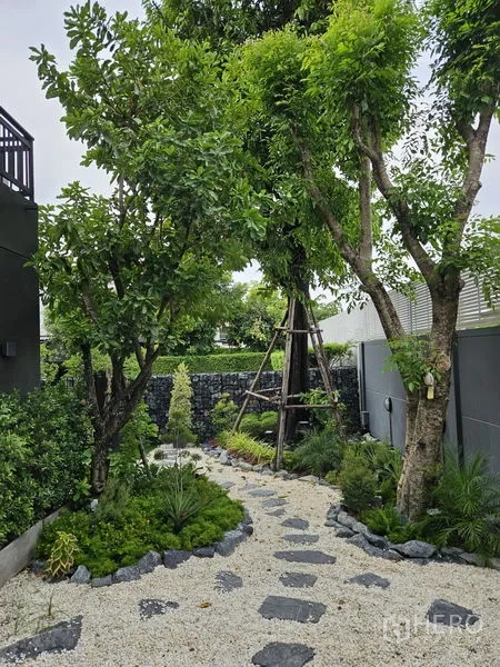 独立式住宅 出售在Thawi Watthana, Bangkok - 侧院花园，卵石步道、乔木与茂盛绿植。