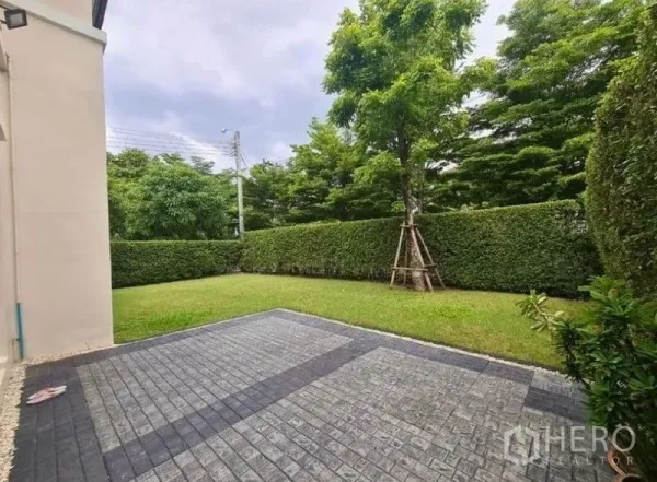 Detached House for rent or sale in Lat Krabang, Bangkok - Side garden with paved patio, trimmed hedge and trees creating a private outdoor area.