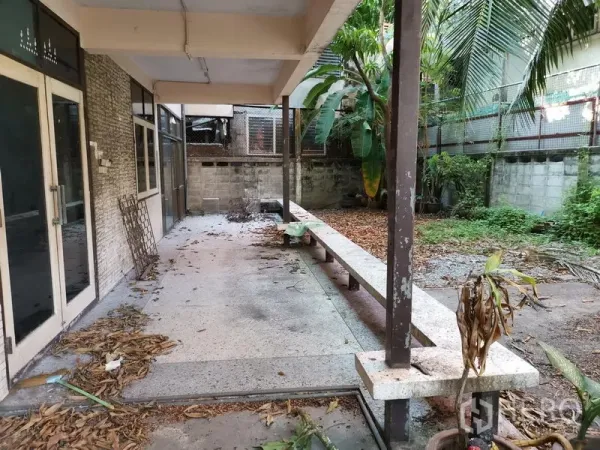 带办公室的家 出租在Khlong Toei, Bangkok - 带顶露台，长条座椅、玻璃门与茂密花园。