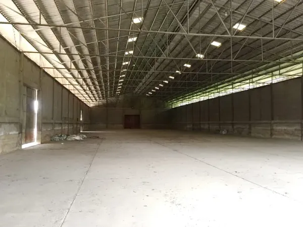Warehouse for rent in Pathum Thani - Large empty warehouse interior with high steel truss roof, concrete floor and skylight panels.