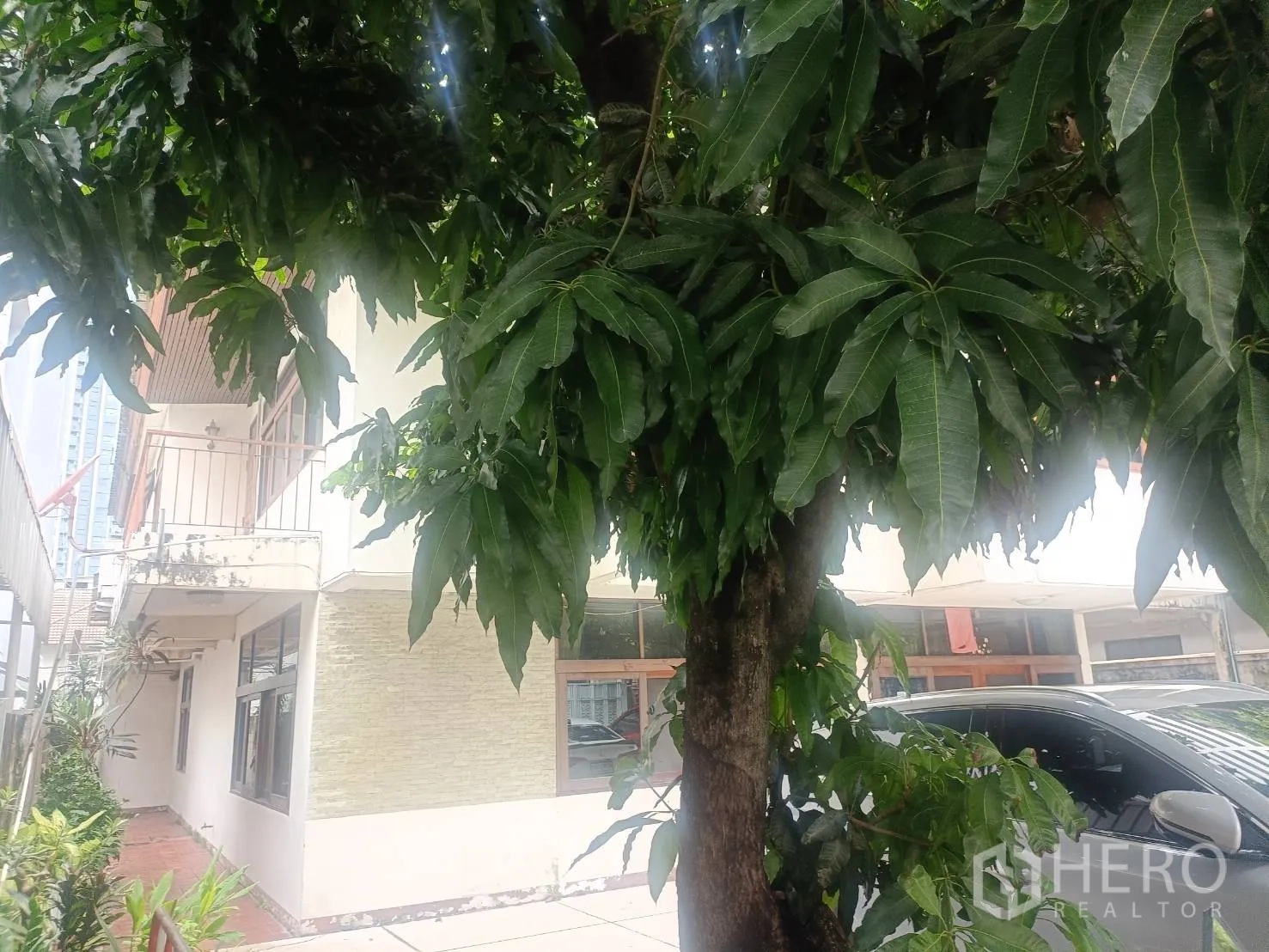 独立式住宅 出租在Bang Rak, Bangkok - 房屋侧面，茂密树冠、阳台与转角窗。