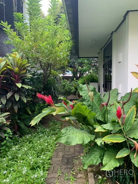 Detached House for rent in Khlong Toei, Bangkok - Lush tropical garden with brick path running beside the house.