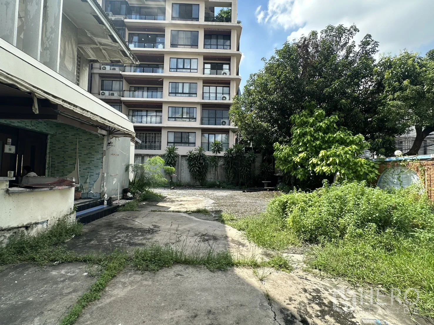 独栋房屋 for rent in Watthana, Bangkok - 绿化庭院与大树，旁邻公寓楼。
