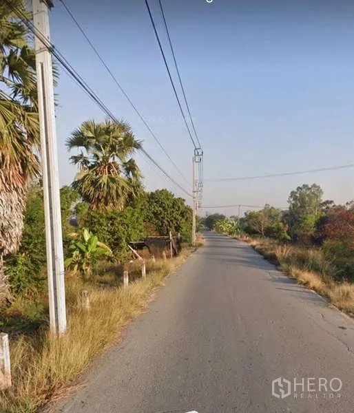 ที่ดิน ขายในBang Bua Thong, Nonthaburi - ถนนลาดยางแคบ มีต้นตาลและสายไฟฟ้าเหนือศีรษะ ใกล้ที่ดิน