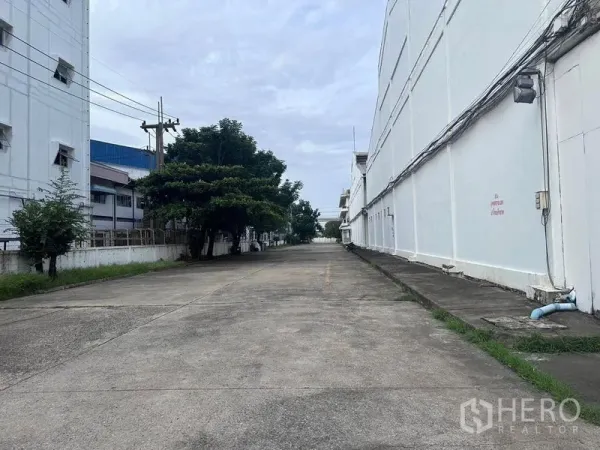 Warehouse for rent in Mueang Samut Prakan, Samut Prakan - Wide internal road between warehouse buildings with trees and power lines.