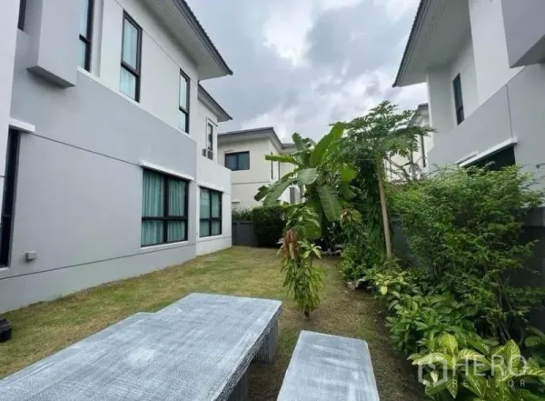 Detached House for rent - Private lawn garden with tropical plants and outdoor bench between neighboring homes.