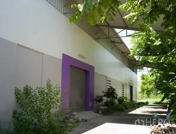 Factory for rent in Pathum Thani - Side of the factory showing roller shutter loading bays beneath a covered driveway with greenery.