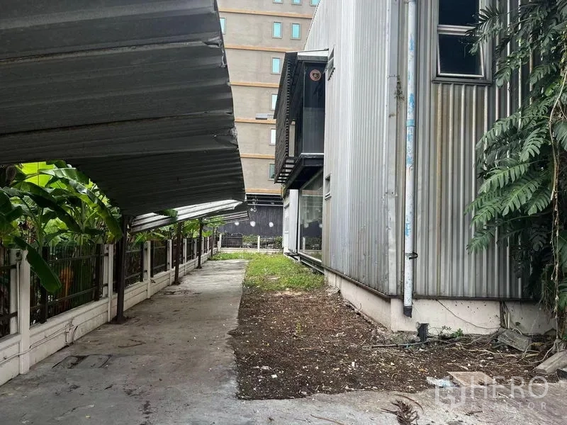 Warehouse for rent in Prawet, Bangkok - Exterior service lane with corrugated awnings, metal-clad warehouse walls and greenery along the fence.