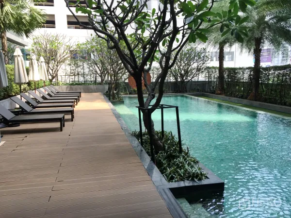 คอนโด ให้เช่าหรือขายในWatthana, Bangkok - สระว่ายน้ำกลางแจ้งของคอนโด มีเตียงอาบแดด พื้นทางเดินไม้ และต้นไม้เขตร้อน.
