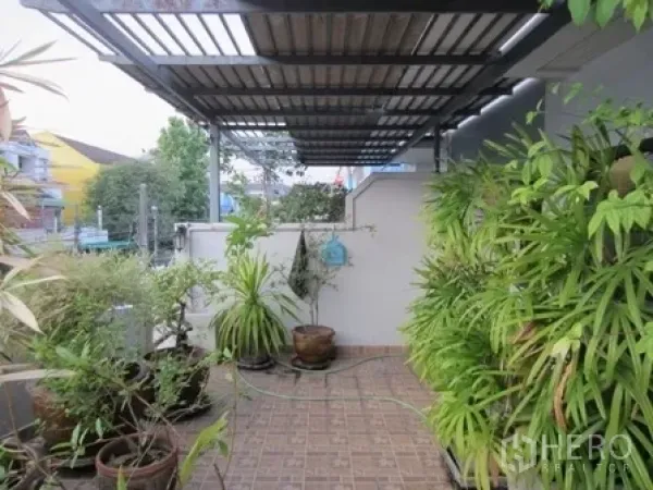 带办公室的家 出租或出售在Wang Thonglang, Bangkok - 带顶侧露台，铺瓷砖并摆放盆栽绿植。