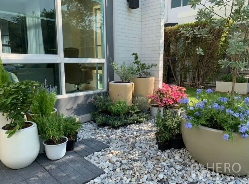 Detached House for rent in Bang Phli, Samut Prakan - Landscaped corner garden with large potted plants and white pebble ground cover.