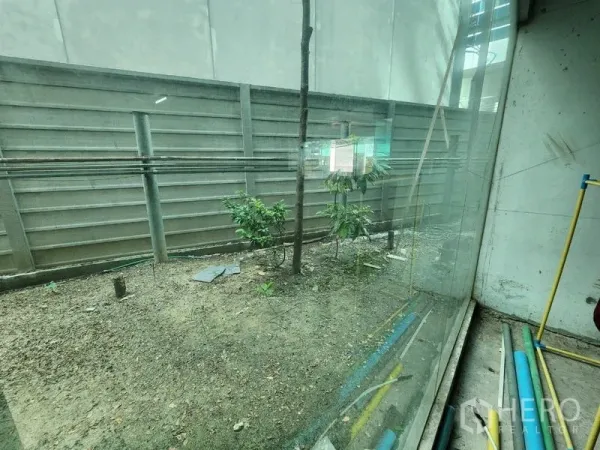 零售空间 出租 - 落地玻璃后的小型庭院，带泥土地与幼树。