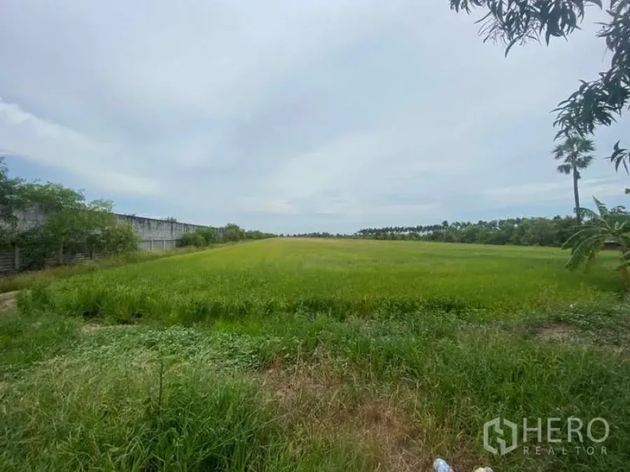 ที่ดิน ขายในBang Bua Thong, Nonthaburi - แปลงที่ดินโล่งกว้าง มีแนวกำแพงและต้นไม้ ใต้ท้องฟ้าเมฆครึ้ม ในอำเภอไทรน้อย นนทบุรี