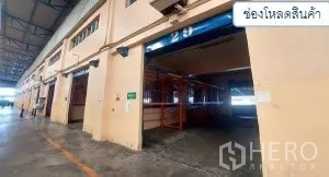 Warehouse for rent in Mueang Pathum Thani, Pathum Thani - Open loading docks with roller shutters ready for truck access.