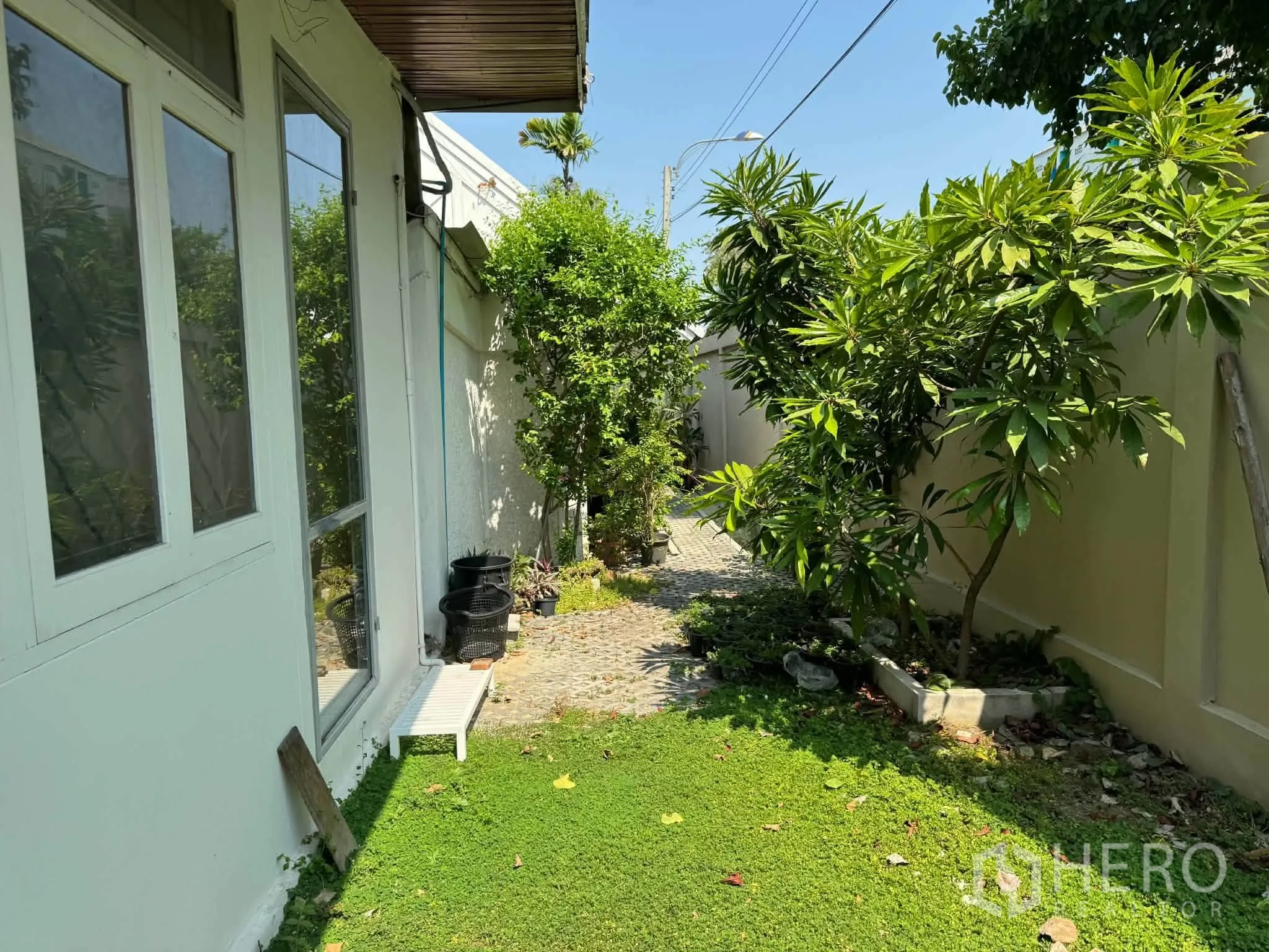 บ้านเดี่ยว for rent or sale in Mueang Samut Prakan, Samut Prakan - ทางเดินข้างบ้านมีสนามหญ้าและไม้ประดับตลอดแนวกำแพง