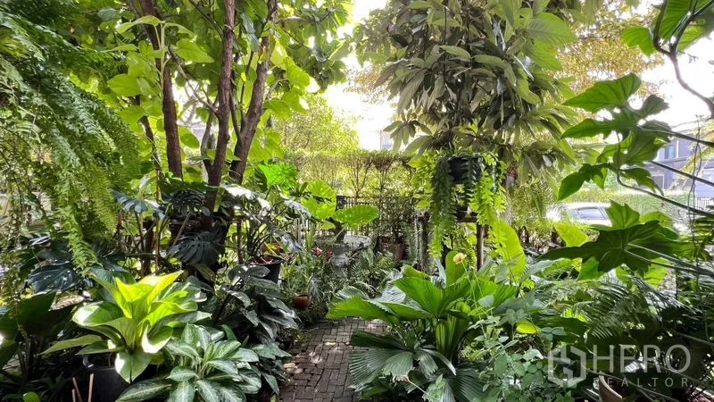Detached House for rent or sale in Bang Khen, Bangkok - Shaded tropical garden with dense foliage and a brick pathway.